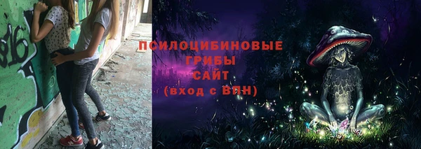 шишки Верхнеуральск