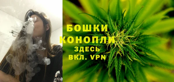 шишки Верхнеуральск