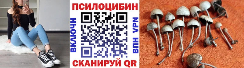 Галлюциногенные грибы мухоморы  где купить   Медногорск 